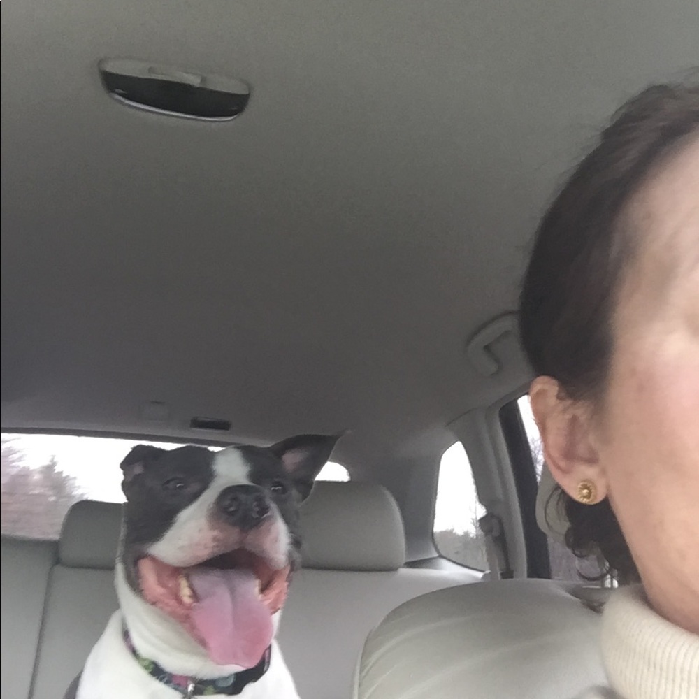 Meet your Posher, Cynthia